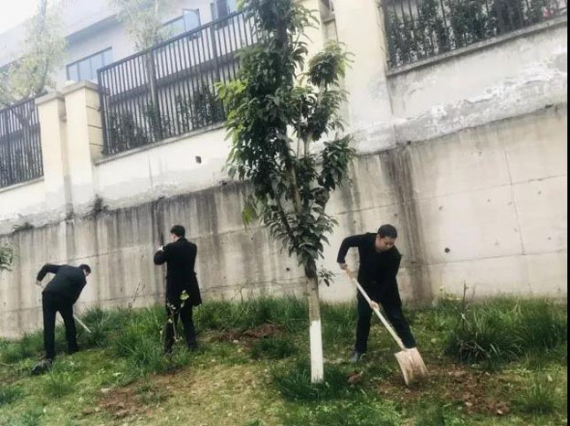 1561081995135588.jpg 2.jpg